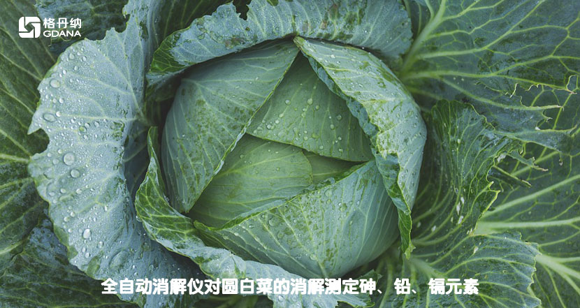 全自動(dòng)消解儀對(duì)圓白菜的消解測(cè)定砷、鉛、鎘元素